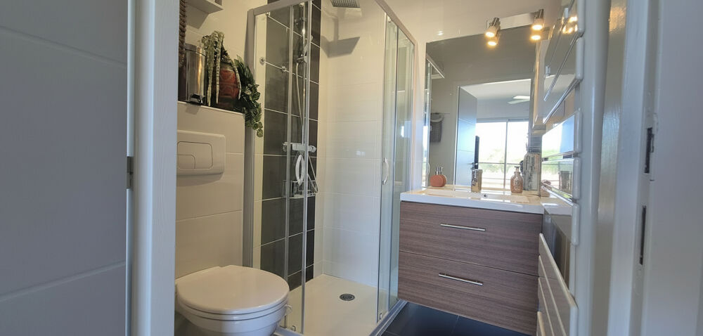 à vendre  Appartement Saint-Cyprien (66750)
