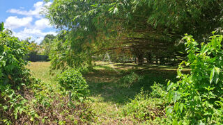  Terrain à vendre 4019 m²