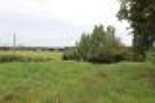  Terrain  vendre 1232 m