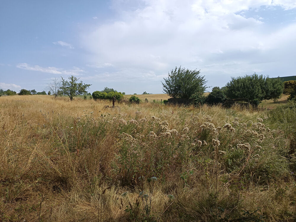 Vente Terrain Terrain Bellegarde Marsal 2346 m2 Bellegarde marsal
