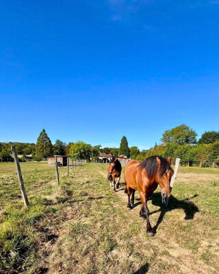  Maison � vendre 5 pi�ces 130 m�