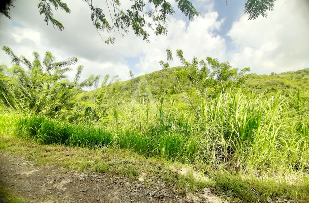 Vente Terrain Terrain pentue 922 m2 à viabiliser, zone U3, Sainte-Luce vue montagne imprenable, PEPITE A SAISIR !!!!! Sainte luce