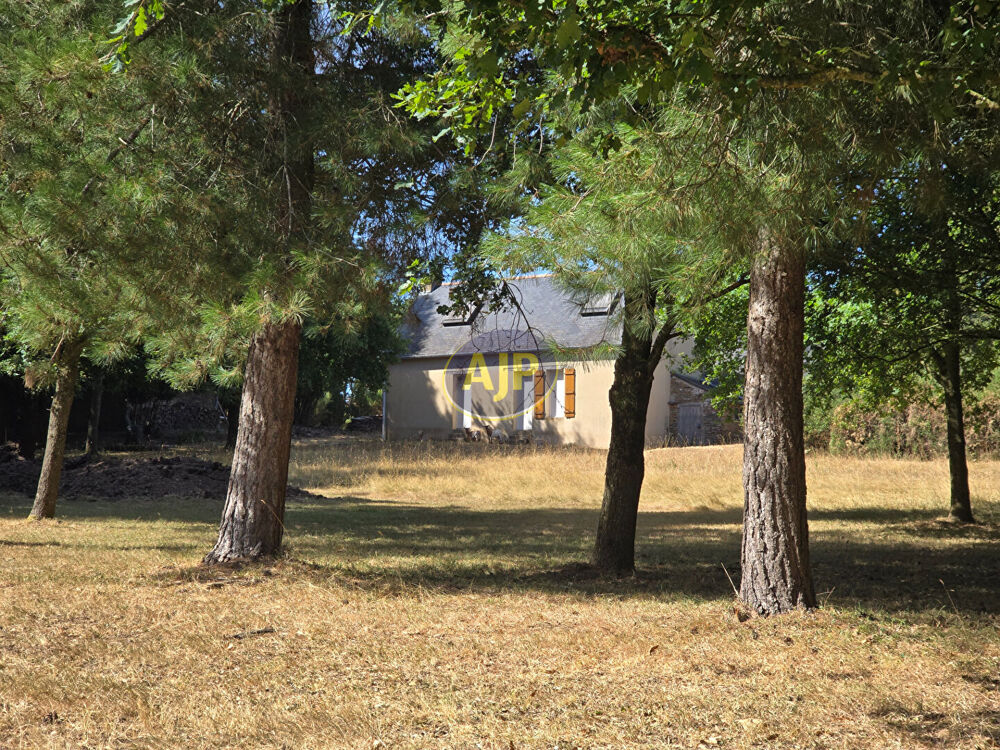 Vente Maison Ensemble GUEMENE-PENFAO Maison, dépendances sur  1 Hectare 4 de terrain Guemene penfao