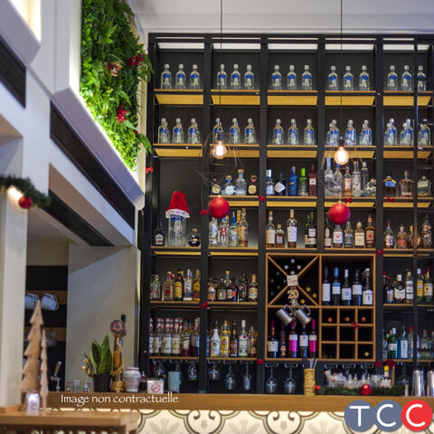 Fonds de commerce bar brasserie Albi centre avec belle terrasse 376250 81000 Albi