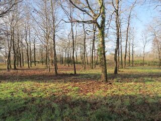  Terrain � vendre 6155 m�