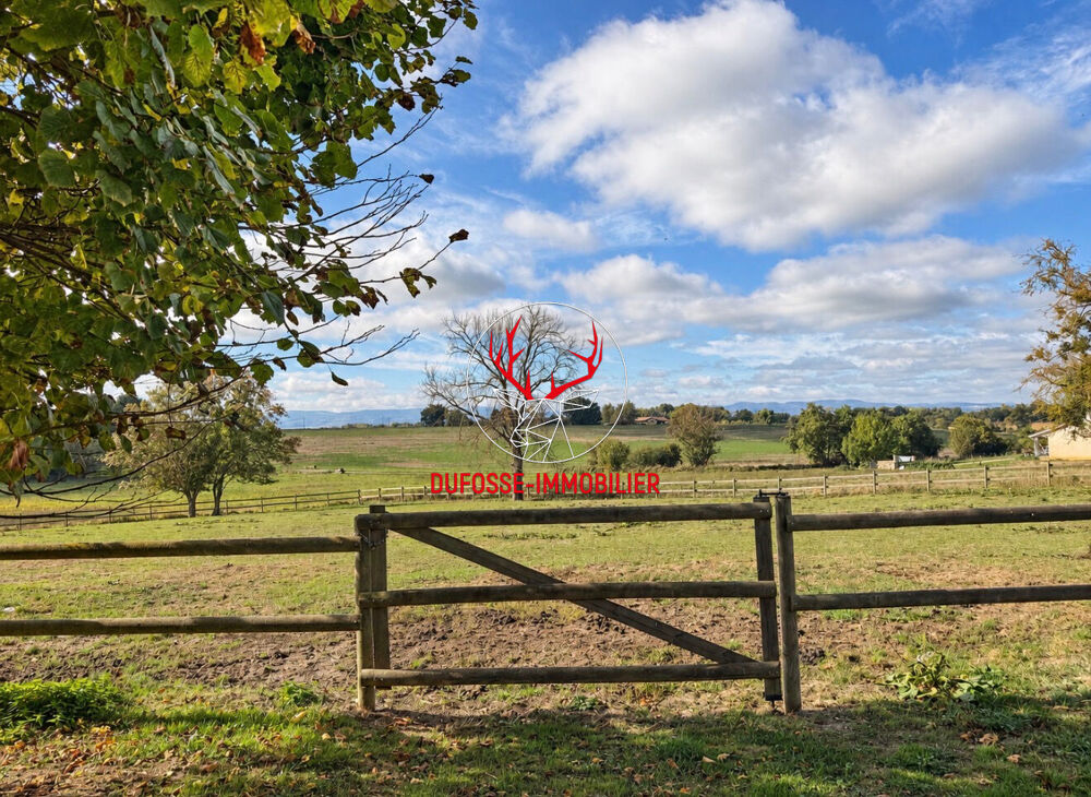 Vente Maison Propriété équestre  de charme de 4 hectares Saint didier sur chalaronne