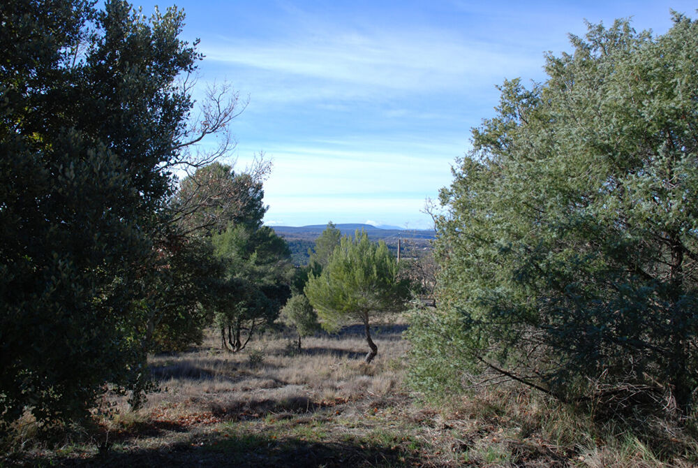 Vente Terrain A VENDRE EN EXCLUSIVITE ! Beau terrain plat  de 1457m² à BEAUDINARD SUR VERDON Baudinard sur verdon