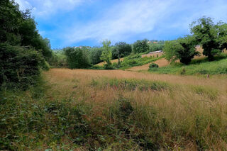  Terrain à vendre 4217 m²