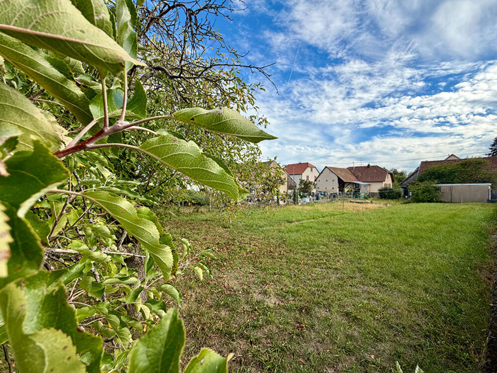 Vente Maison Maison  4 pièce(s) 93 m2 Wuenheim
