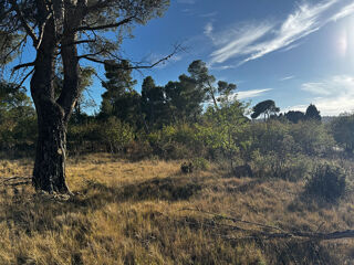  Terrain � vendre 4795 m�