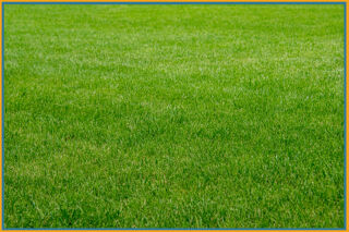  Terrain � vendre 3172 m�