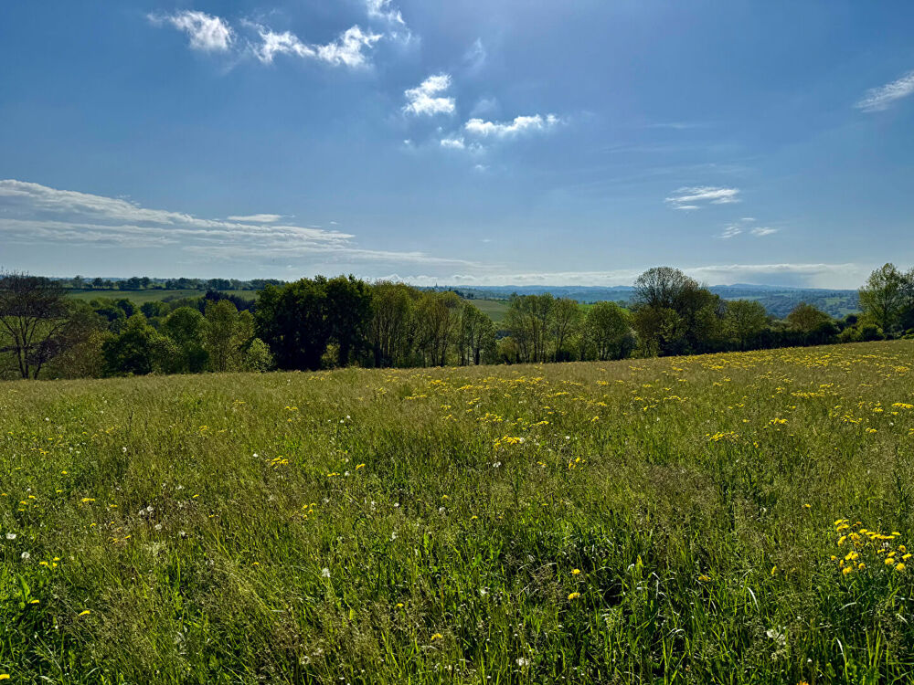 Vente Terrain Terrain constructible 2100m2  - Sainte Juliette Sur Viaur Sainte juliette sur viaur
