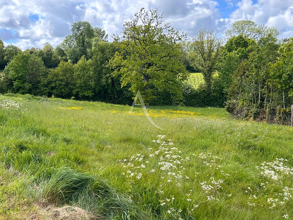 Vente Terrain Terrain  1023 m2 Preures