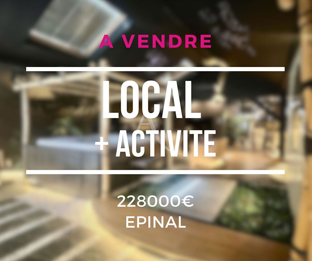  Loft Epinal  + activité rémunératrice. 