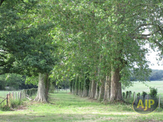  Villa � vendre 15 + pi�ces 465 m�