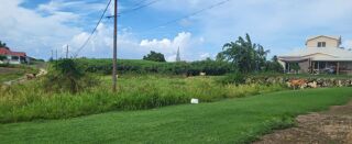  Terrain � vendre 1000 m�