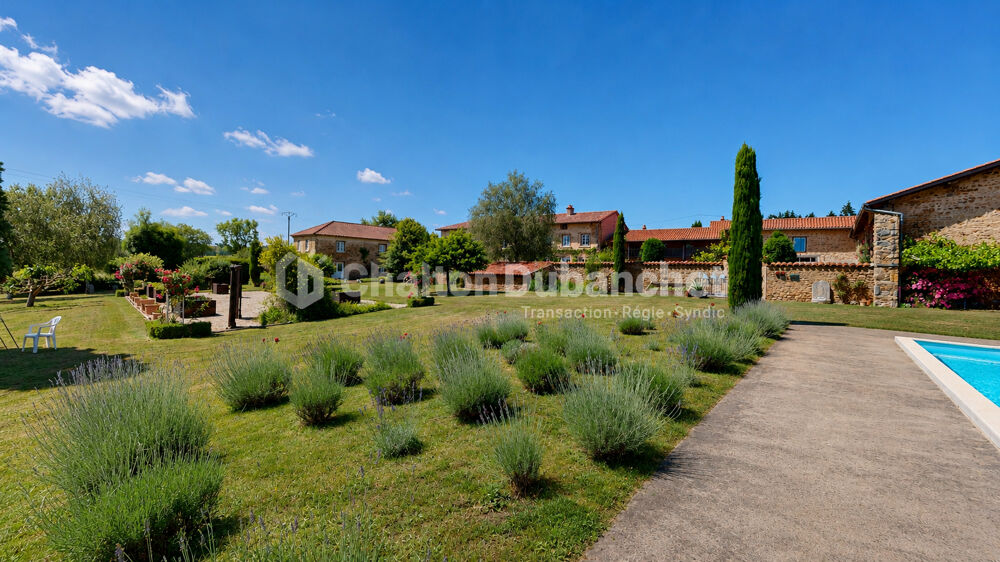 à vendre  Villa Saint-Paul-de-Vézelin (42590)