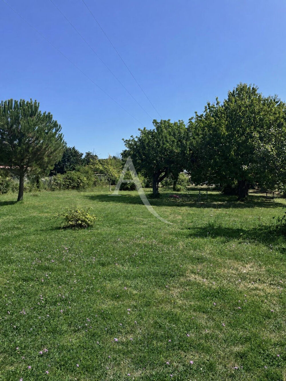 Vente Terrain Terrain avec dépendance Retaud