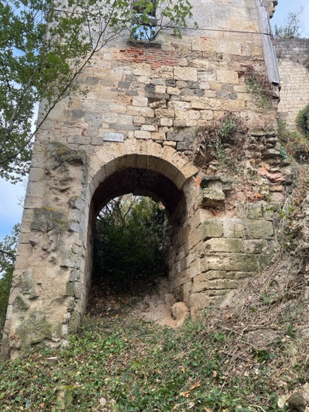 A vendre à Clermont Dessous château médiéval ISMH