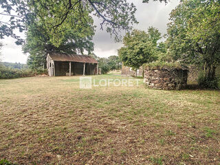 Vente Maison Maison Maure De Bretagne 3 chambres jardin puits hangar Maure de bretagne