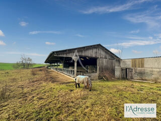  Terrain � vendre 10000 m�