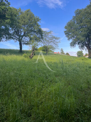  Terrain à vendre 2981 m²