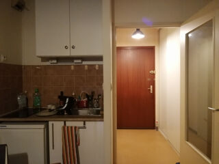  Appartement à louer 1 pièce 29 m²