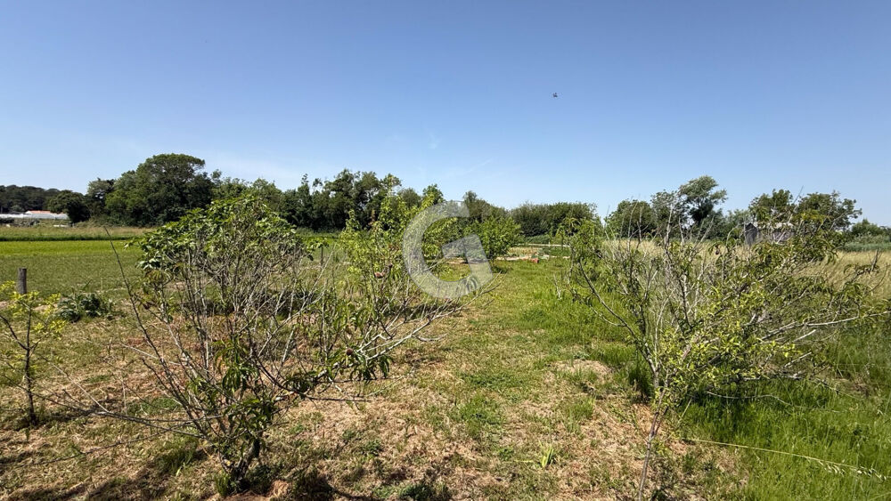Vente Terrain TERRAIN CONSTRUCTIBLE - 1437 m² - A VENDRE - LES CONCHES - LONGEVILLE SUR MER Longeville sur mer