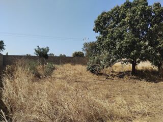  Terrain � vendre 1 m� Ngaparou