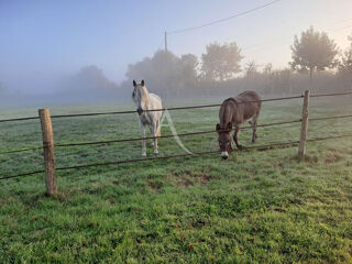  Maison  vendre 5 pices 112 m