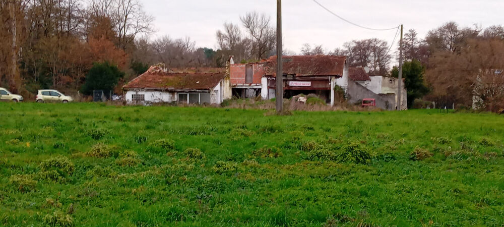 Vente Maison A VENDRE MAISON A RENOVER TOTALEMENT SUR TERRAIN DE PLUS DE 6 000,00 M2 -  SECTEUR PUGNAC Pugnac