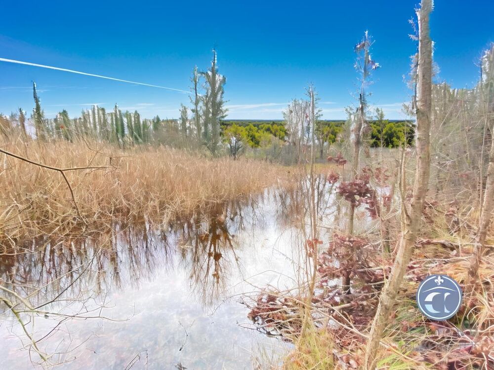 Vente Terrain Terrain de Loisirs à Vendre dans le Controis en Sologne/ Un Cadre Verdoyant Le controis en sologne