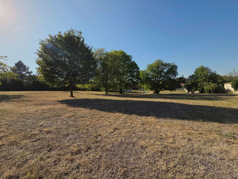 Vente Terrain Terrain Biesles 3472 m2 Biesles