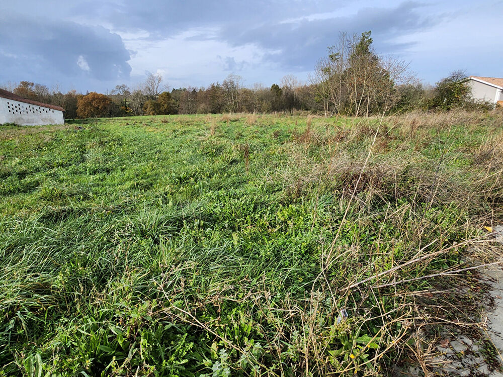 Vente Terrain A VENDRE TERRAIN À BATIR 1224 m2 VIABILISÉ VAL-DE-LIVENNE Val de livenne