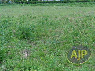  Terrain à vendre 360 m²