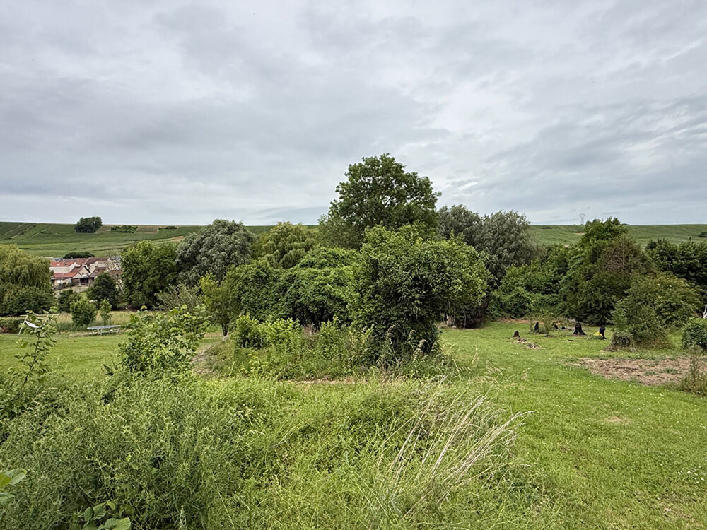 Vente Terrain Terrain à bâtir proche Jonchery Sur Vesle - vue sur la vallée / vignoble - 2100 m2 Jonchery sur vesle