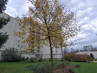  Appartement  vendre 4 pices 85 m