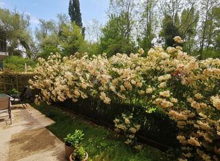  Appartement � vendre 5 pi�ces 98 m�