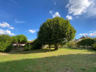  Maison � vendre 12 pi�ces 350 m�