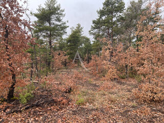  Terrain � vendre 37641 m�