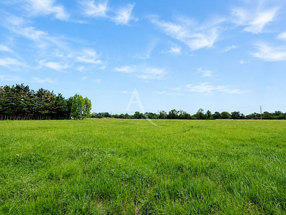Vente Terrain Terrain de loisirs avec étang, verger et cabanon aménagé sur parcelle agricole Saumur
