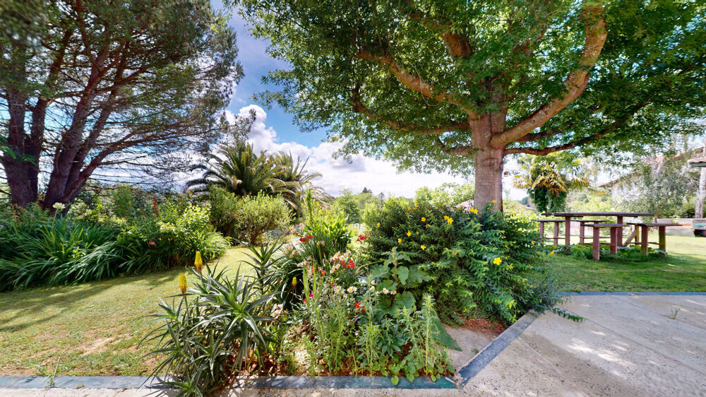 à vendre  Maison Arbonne (64210)