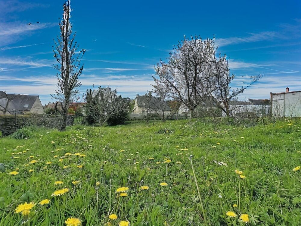 Vente Terrain Terrain Quimperlé viabilisé - Proche écoles et commodités Quimperle