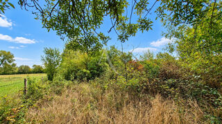  Terrain à vendre 4460 m²