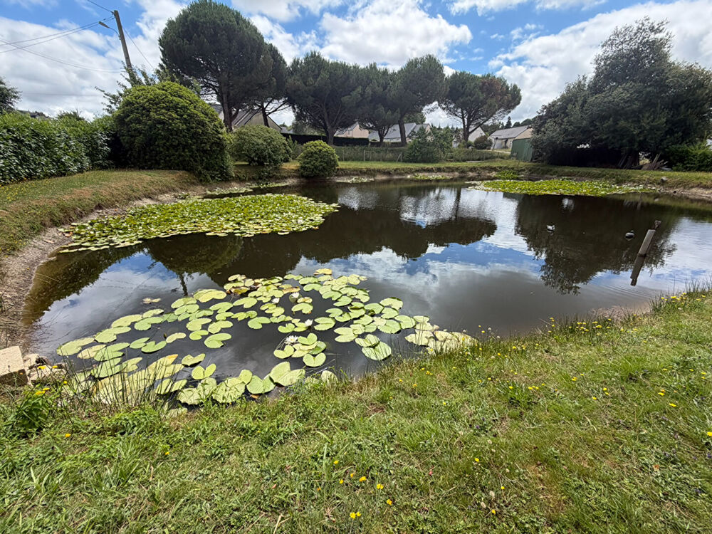 Vente Terrain Terrain de 1746 m² à Guegon (56120) Guegon