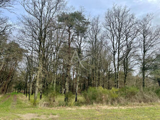  Terrain � vendre 