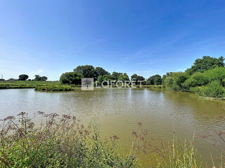  Terrain à vendre 16500 m²