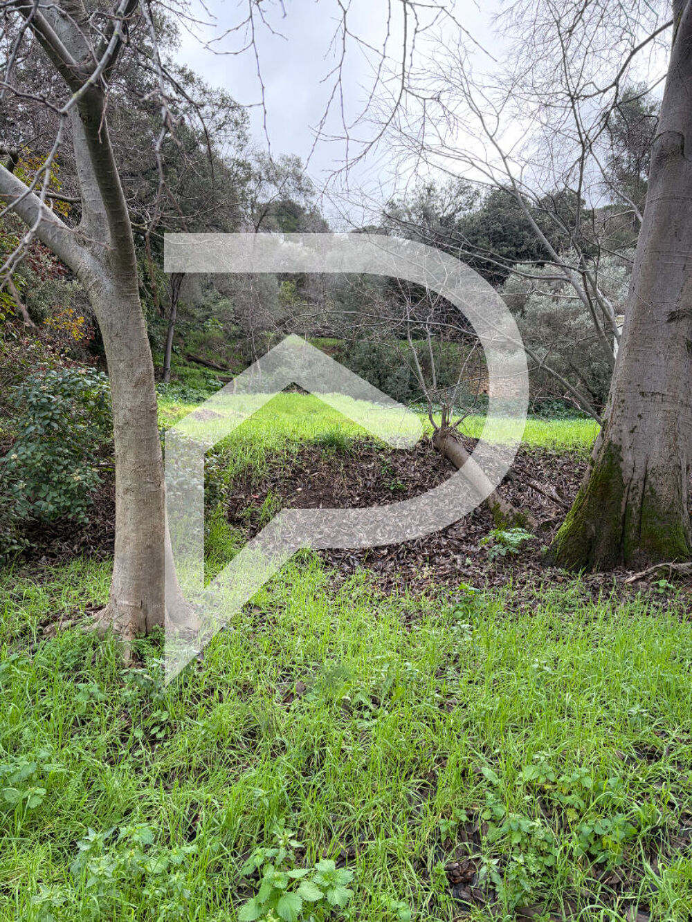 Vente Terrain Terrain 900m2 constructible Marseille 13013 Marseille 13