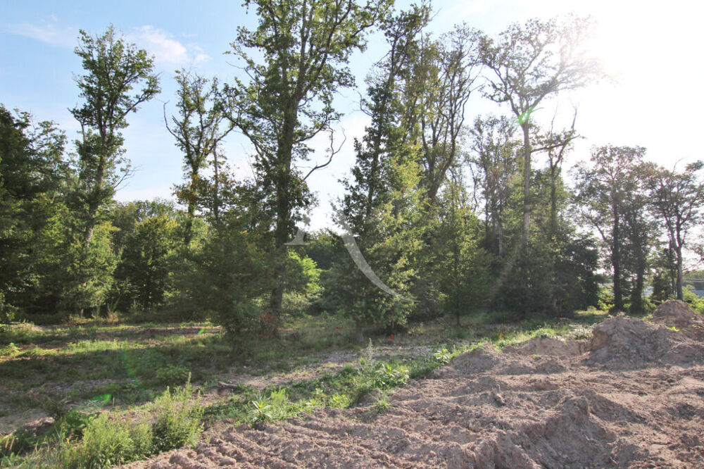 Vente Terrain Terrain centre de Cellettes 714 m2 Cellettes