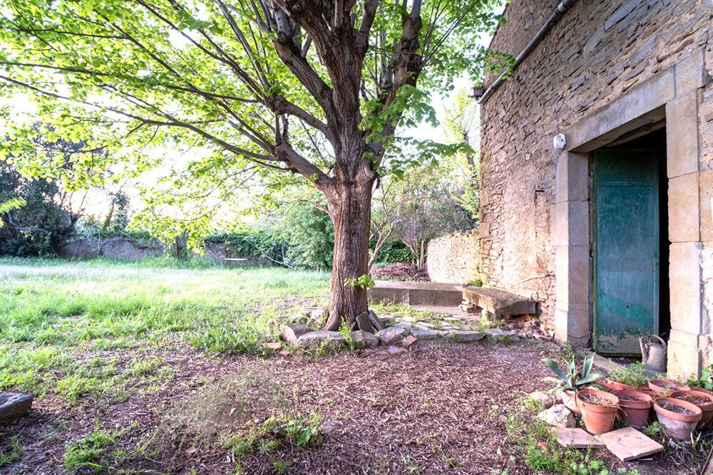 Maison Vigneronne avec jardin